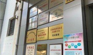 上海除了眼耳鼻喉科医院还有哪个医院的眼科好?我妈妈的就诊经历给出了答案！